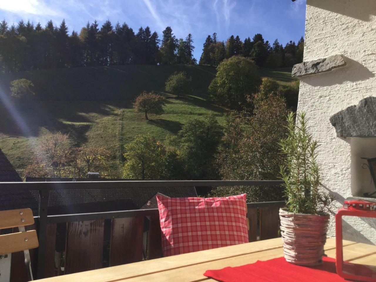 Erikas Haus Münstertal Exterior foto