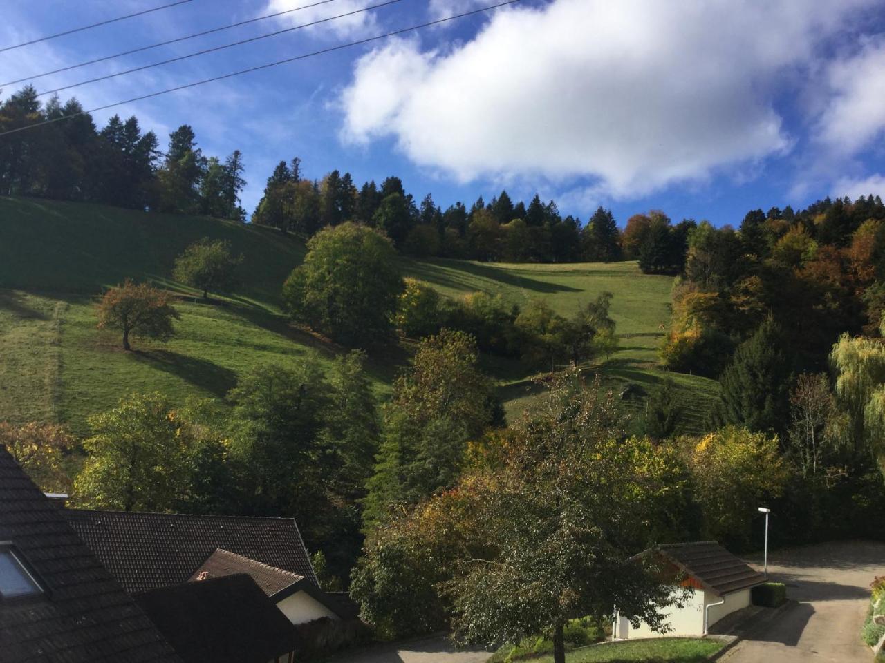 Erikas Haus Münstertal Exterior foto